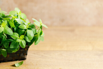 Fresh mint on wooden table.