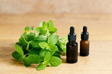 Fresh mint on wooden table.