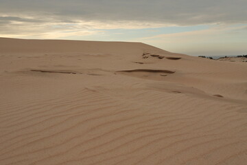 Fototapeta na wymiar Ruchome wydmy Łeba, piasek, pustynia