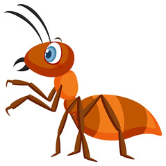 Cartoon ant isolated on white background