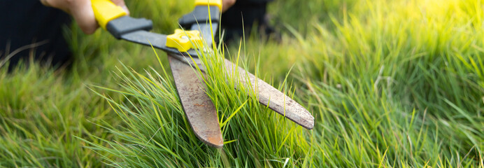 Young Asian man shears the lawn in the evening when the sun sets in a beautiful orange glow, Lawn decoration or garden pruning.