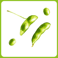 手描き水彩の枝豆（茶豆）イラスト2