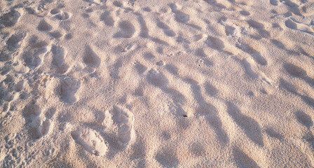 Detail of texture sand in tropical island Summer background and travel design High Quality Detail Of Curve sand texture with sunset or sunrise light on sand beach