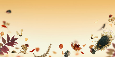 Beautiful autumn border with falling fall leaves, dried flowers , acorn and grain at orange backdrop . Border made of seasonal natural plants. Copy space. Banner