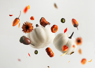 Flying white pumpkin with falling leaves, dried flower and acorn at white backdrop. Creative autumn...