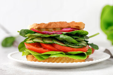 Healthy organic Vegetarian Veggie Sandwich with vegetables, spinach, Tomatoes, cucumber, onion.