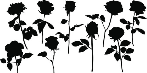 Vector roses silhouettes. Leaves and flowers design elements on white background.