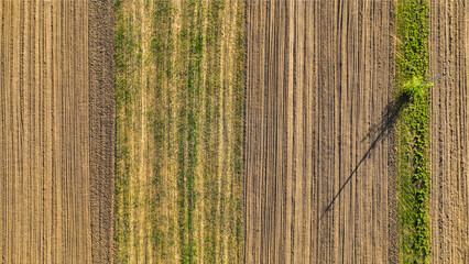 Aerial view of a land with sown fields in countryside. Landscape agriculture. Countryside. Top view farmland