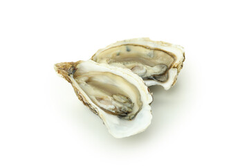 Concept of delicious seafood, oysters isolated on white background