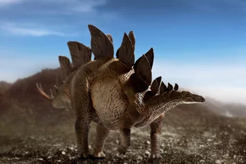 Fototapeten Dinosaur, Stegosaurus on top mountain © fotokitas