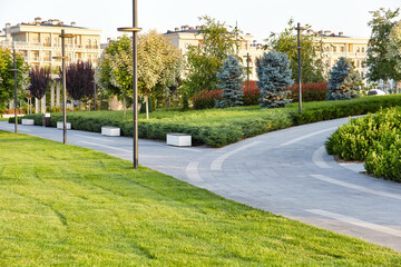 Obraz premium Sidewalk through a park with fresh green grass and trees around and light houses in the background at sunrise warm light