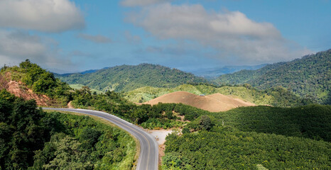The local road trough the green forest with the nature landscape background