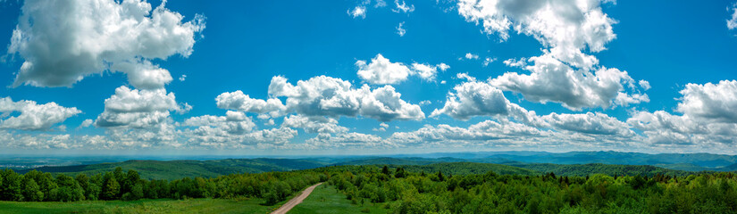 Panorama of the spring forest near the mountain town. Picturesque landscape of a sunny day.