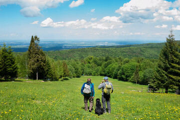 People with a dog explore the valley and forest, sunny day.