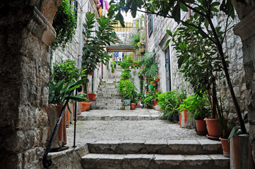 A Typical colourful Street in Dubrovnik Croatia adorned with flowers and plants on the upward leading stairs 