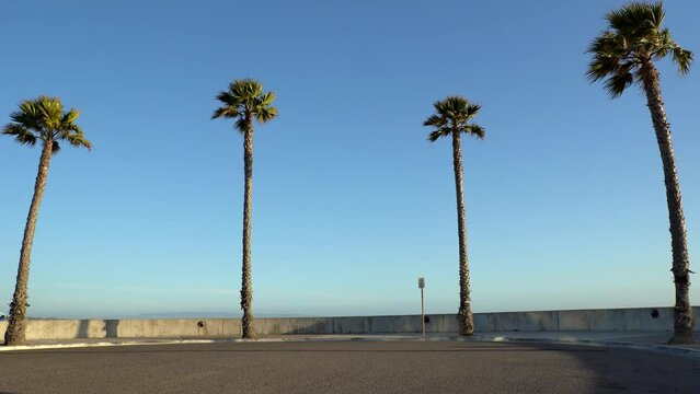 View of street with palm trees in Pismo Beach, California
