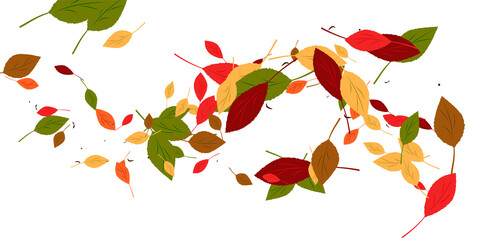 Leaves. Yellow, red, green, orange, brown colors. Scattered autumn leaves. Unusual abstract texture. Vector eps 10.