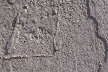 Old wall-  destroyed plaster. Grainy background- cracks, chips, peeling paint