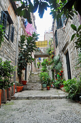 Fototapeta na wymiar A quaint typical stairway adorned with colourful plants and flowers rising up a stairway in Dubrovnik Croatia 