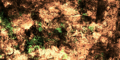 Moss on the rock New abstract design background with unique marble, wood, rock,metal, attractive textures. marble stone texture background
