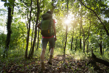 Naklejka na ściany i meble Woman hiker hiking on forest trail