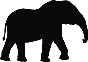 Standing elephant silhouette vector, wild animal isolated on white background, fill with black color wildlife animal, elephant icon, symbol idea, side view
