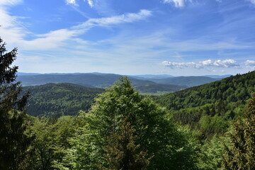 Beskid Sądecki w pasmie Jaworzyny Krynickiej, góry w Małopolsce