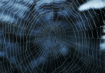 Night cobweb