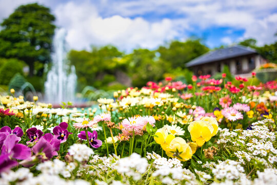 洋風庭園 の画像 1 9 件の Stock 写真 ベクターおよびビデオ Adobe Stock