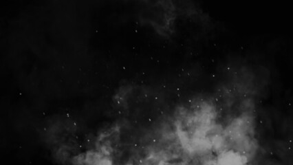 Black and white Fire embers particles texture overlays . Burn effect on isolated black background. Concept of particles , sparkles, flame and light. Stock illustration.