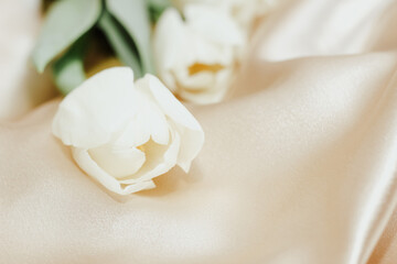 Bouquet of white tulips on silk golden nude satin background.