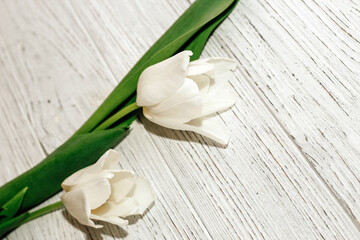 Bouquet of white tulips on a wooden white background, space for text.