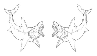 Prehistoric shark - megalodon. Big shark drawing. Monster fish megalodon illustration.	
