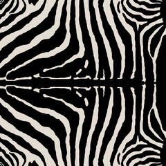 Fototapeta na wymiar Zebra print pattern animal seamless. Zebra skin abstract for printing, cutting, and crafts Ideal for mugs, stickers and more.
