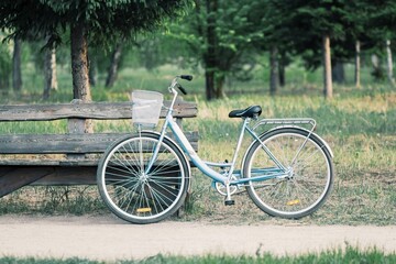 Fototapeta na wymiar Bicycle in the park, green park and trees outdoors, urban scene bike under a tree