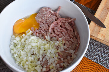 Raw minced meat with onion and egg