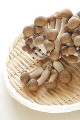 Japanese food ingredient, Shimeji Mushroom on bamboo basket