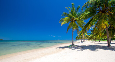 Obraz na płótnie Canvas Beautiful tropical Maldives island with beach.