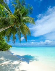 tropische Insel der Malediven mit weißem Sandstrand und Meer © Pakhnyushchyy