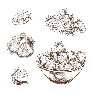 Vector  sketch set  of  strawberries. Hand drawn  illustration.  Summer berries.  Great for label, poster, print.