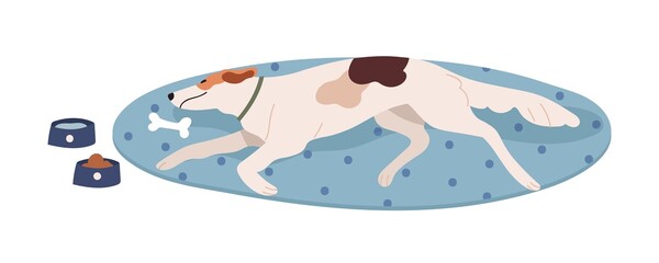 Dog lying, relaxing on rug. Tired canine animal of sighthound breed resting, sleeping on mat. Passive sluggish gazehound doggy on floor. Flat vector illustration isolated on white background