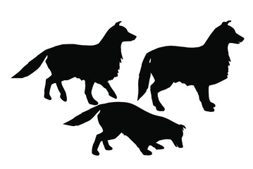 Playing Border collie dog silhouette vector set, isolated on white background, pet animal concept, fill with black color small fluffy dog, three cute and sweet pet icon, symbol idea, side view