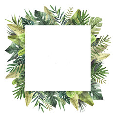 Hand-drawn watercolor illustration of tropical leaves. Tropical leaves square frame.