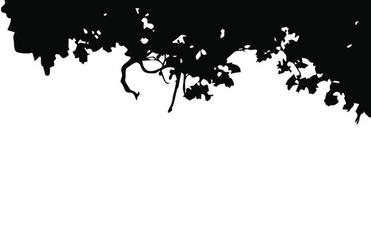 Tree branches and leaves on above, copy space silhouette vector, isolated on white background, nature environment concept, fill with black color tree and leaf on top icon, symbol idea, side view