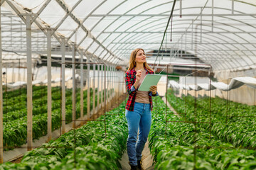 The owner of a small greenhouse with peppers checks the weather system, uses the tablet to see everything she needs.
