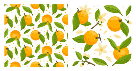 Collection and seamless pattern of orange tree branches with fruits, leaves and flowers isolated on white background. Fresh citrus. Exotical tropical plant. Flat vector illustration.