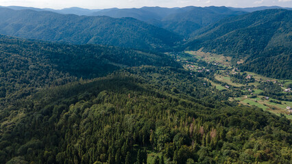 Fototapeta premium Mountains forest from a height landscape