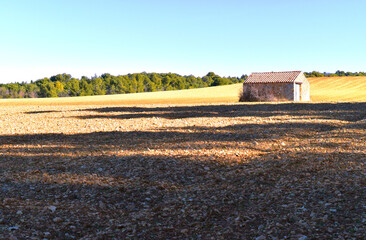 Cabanon in a large field