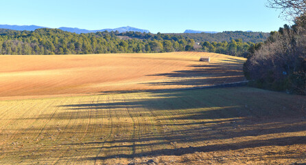Shed in a far end in a Field and forest landscape in southern France, Provence