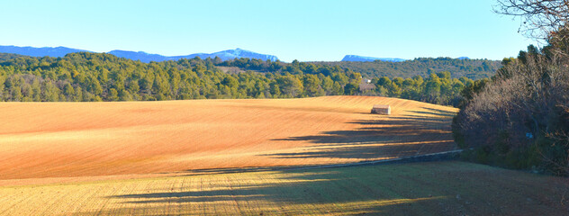 Field and forest landscape in southern France, Provence